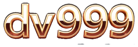 dv999 logo
